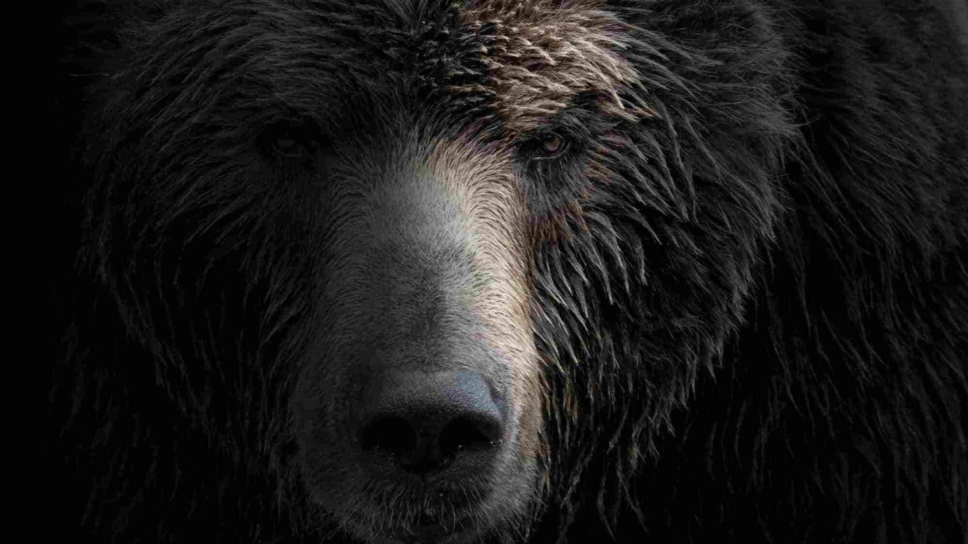 Beast