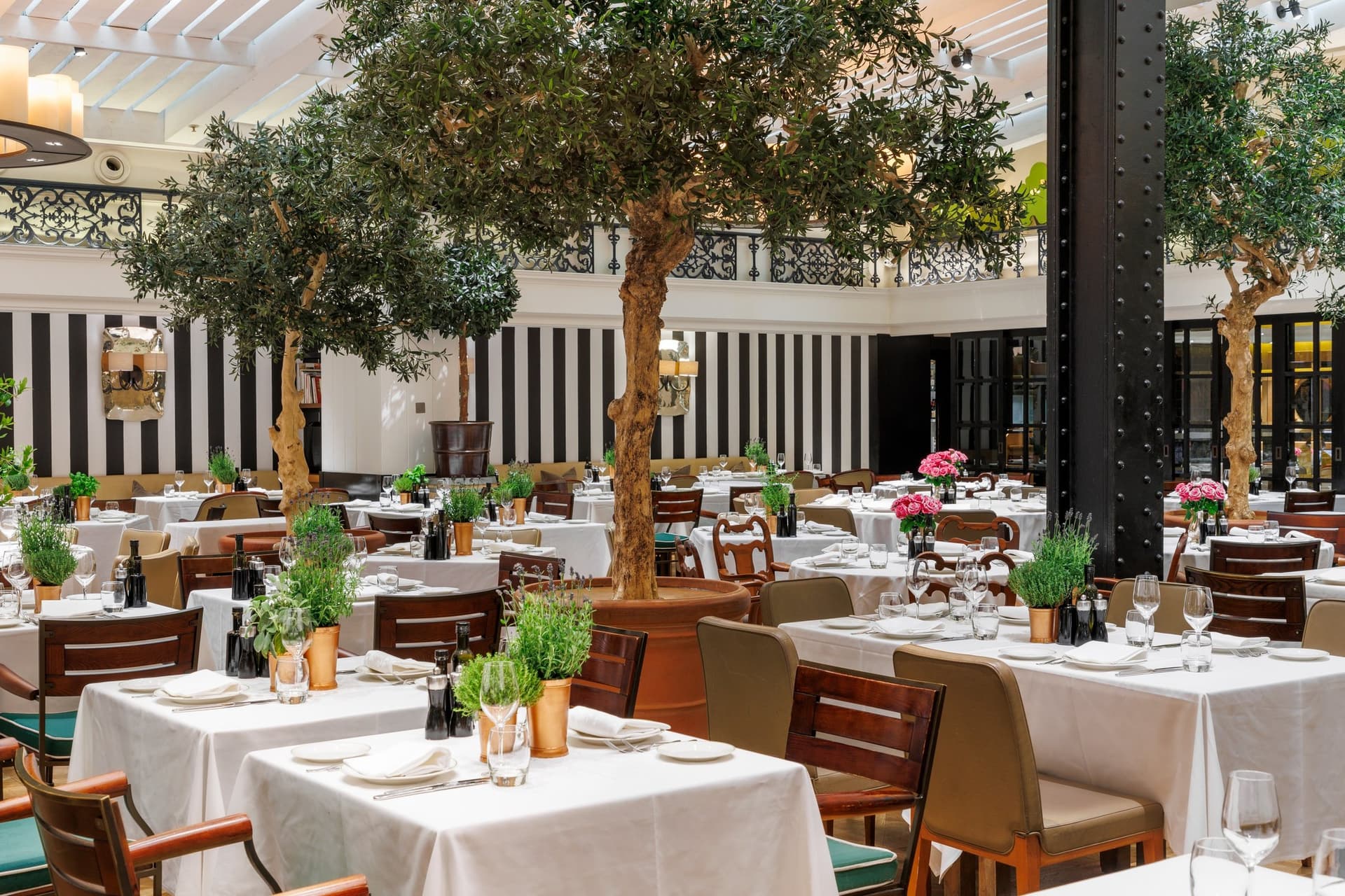 Novikov Italian